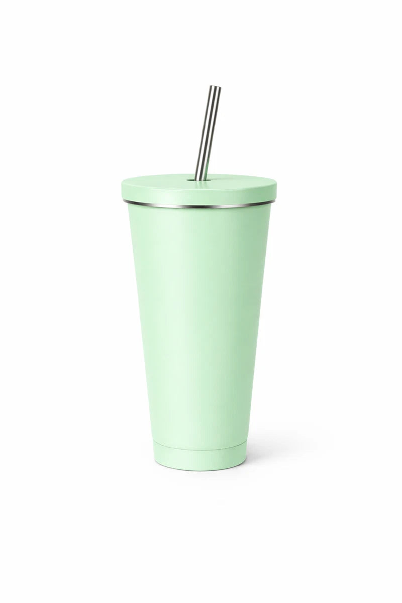 Stainless Steel Insulated Tumbler Cup w/ Lid & Metal Straw