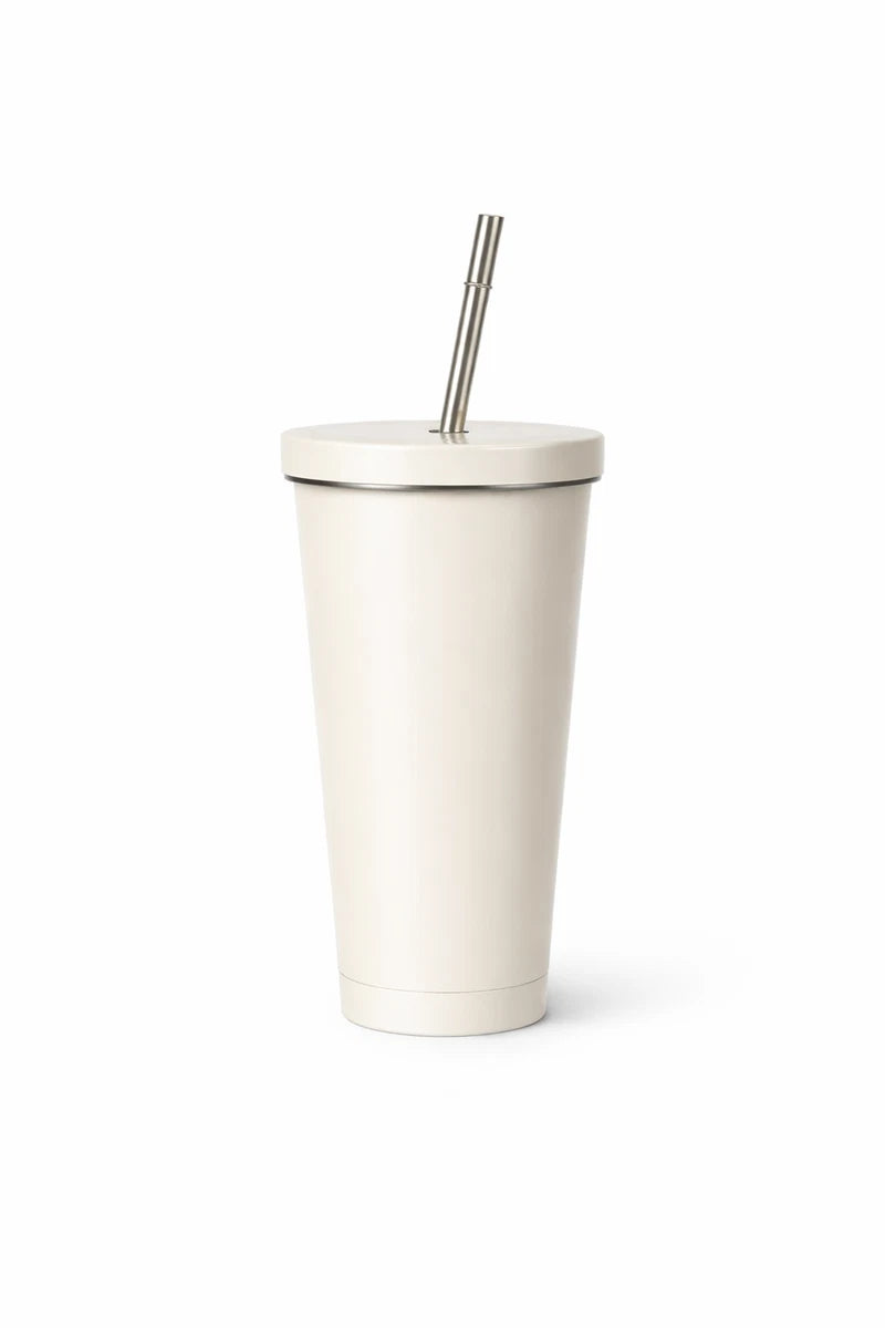Stainless Steel Insulated Tumbler Cup w/ Lid & Metal Straw