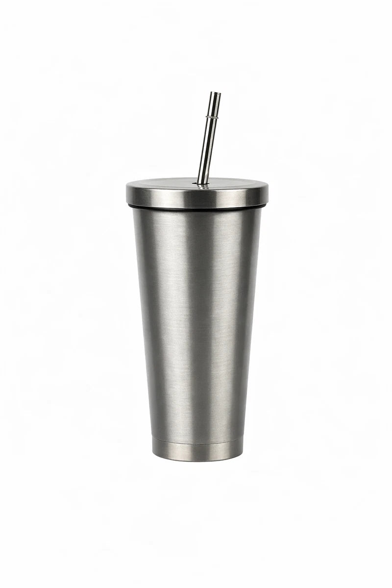 Stainless Steel Insulated Tumbler Cup w/ Lid & Metal Straw
