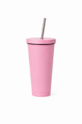 Stainless Steel Insulated Tumbler Cup w/ Lid & Metal Straw