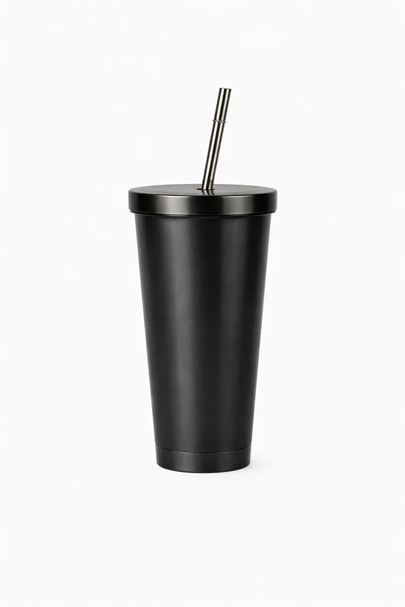 Stainless Steel Insulated Tumbler Cup w/ Lid & Metal Straw