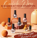 Set 6 Colors Autumn Brown Quick Dry Nail Varnish