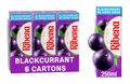 Blackcurrant Pack of 6