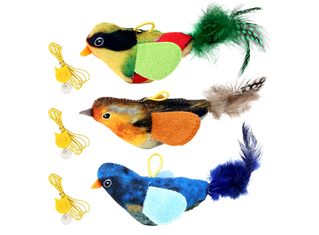 3Pcs Bird Cat Toy
