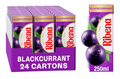 24 pack blackcurrant ribina