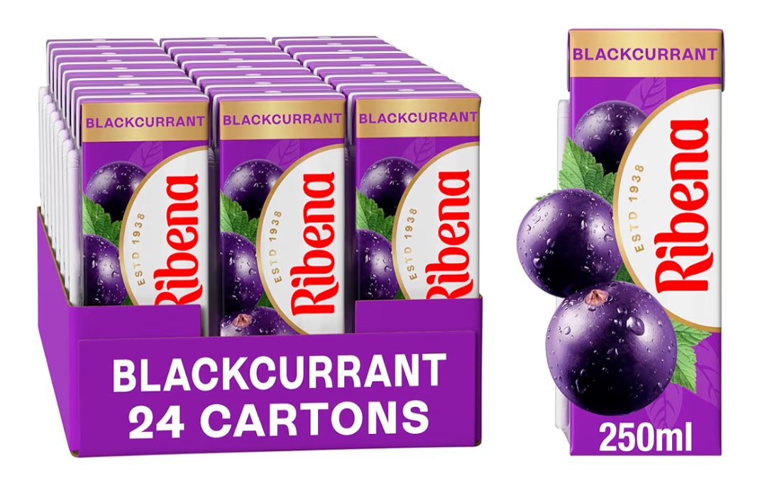 24 pack blackcurrant ribina