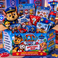 Paw patrol mystery box