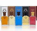 5 x 100ml Men’s perfume set