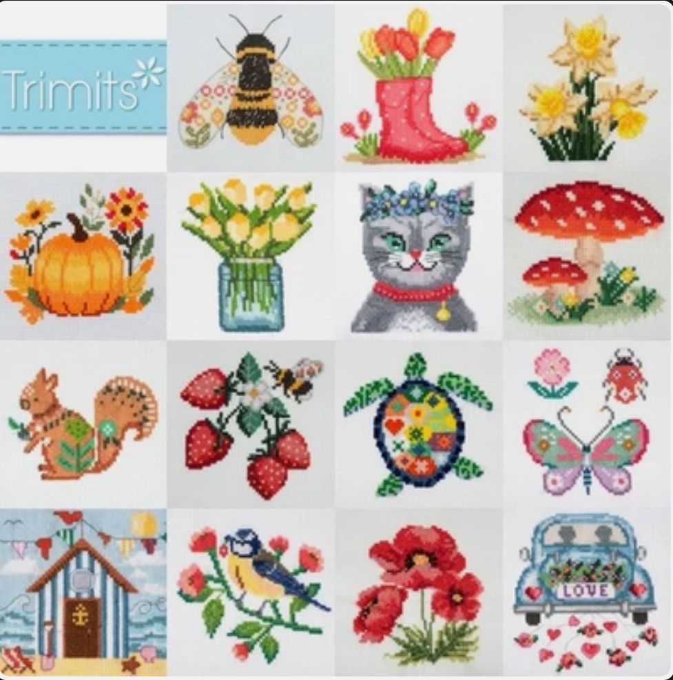 Random Cross Stitch Kit
