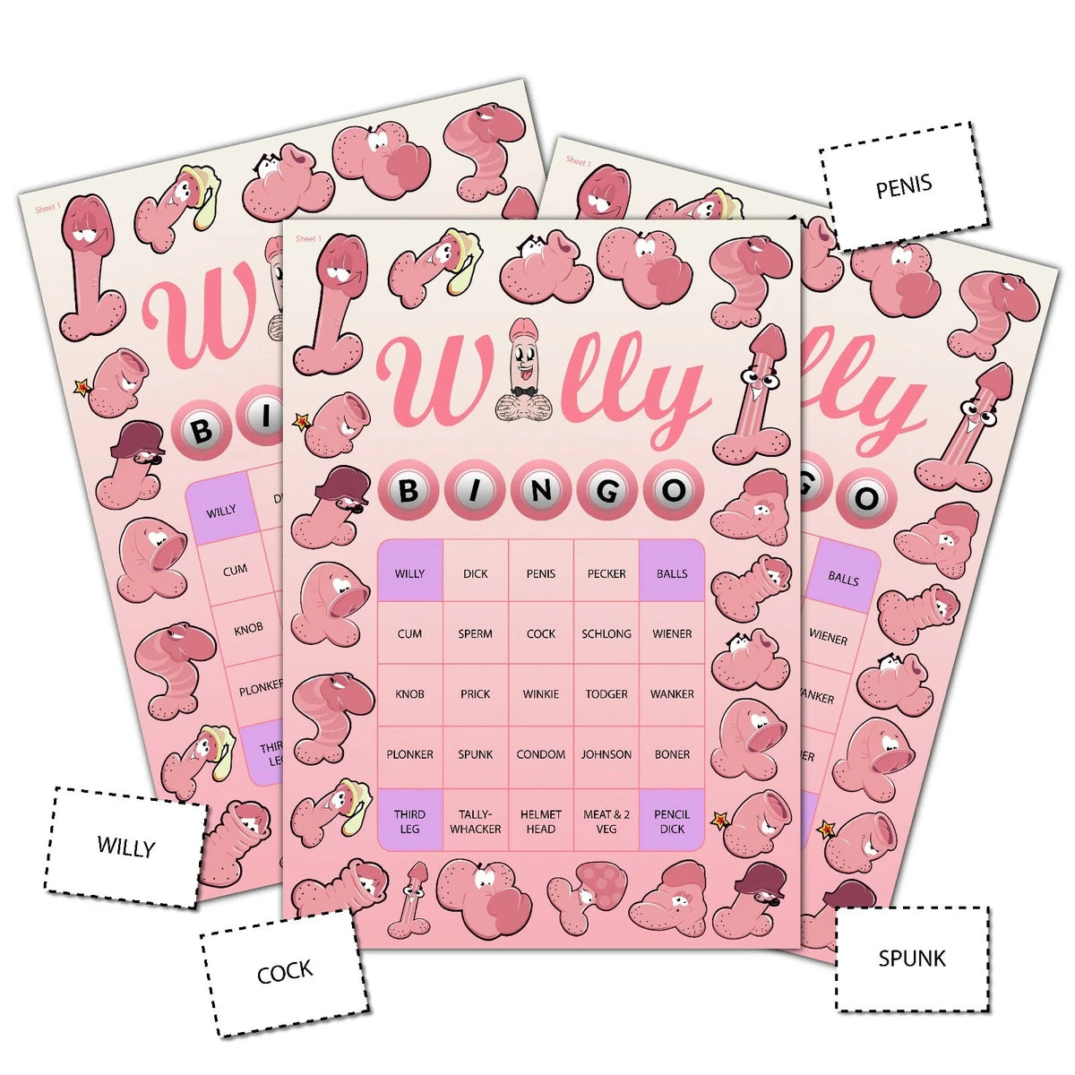 Hen Night Party Bride to Be Funny Willy Bingo Game up to 12 Players