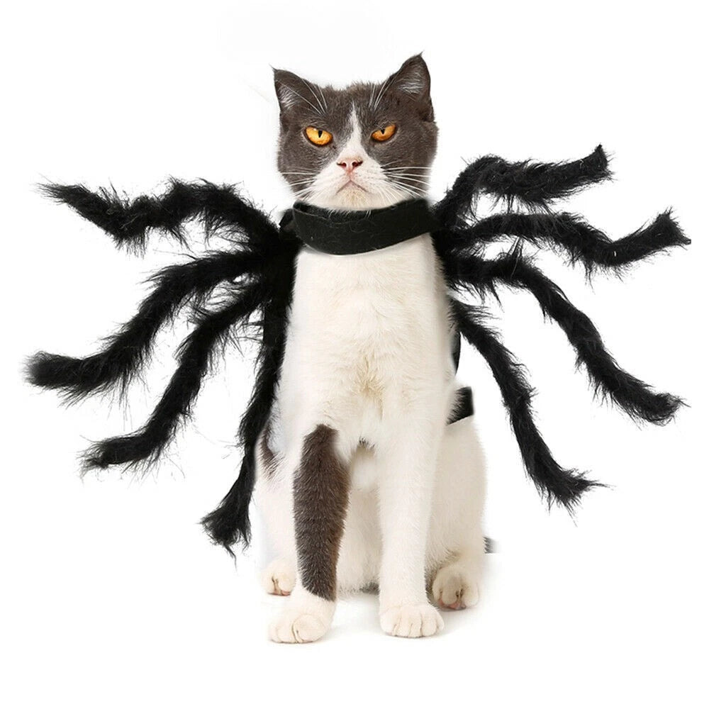 Halloween Pet Black Spider Costume