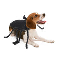 Halloween Pet Black Spider Costume