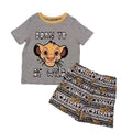 Lions t shirt and short set